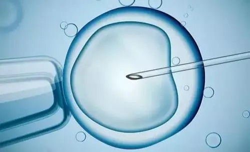 2022年10個人做試管嬰兒幾個能成功？很多人都不知道……